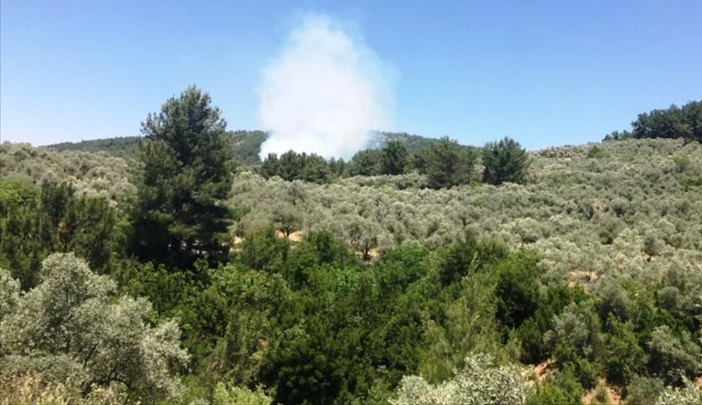 Muğla Orman Yangını