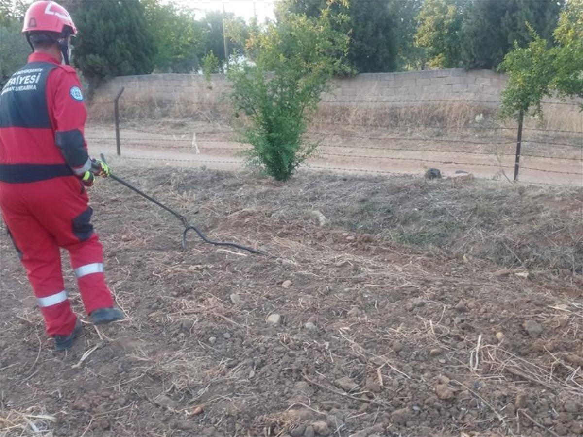 İtfaiyenin Yılan Mesaisi Sürüyor