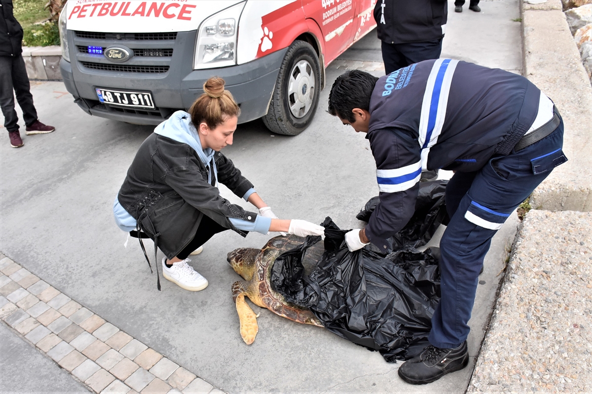 Yürüyüş Yapan Vatandaşlar Fark Etti
