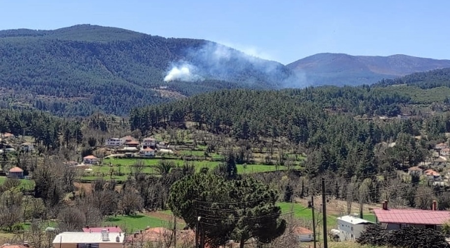 Muğla'da Orman Yangını