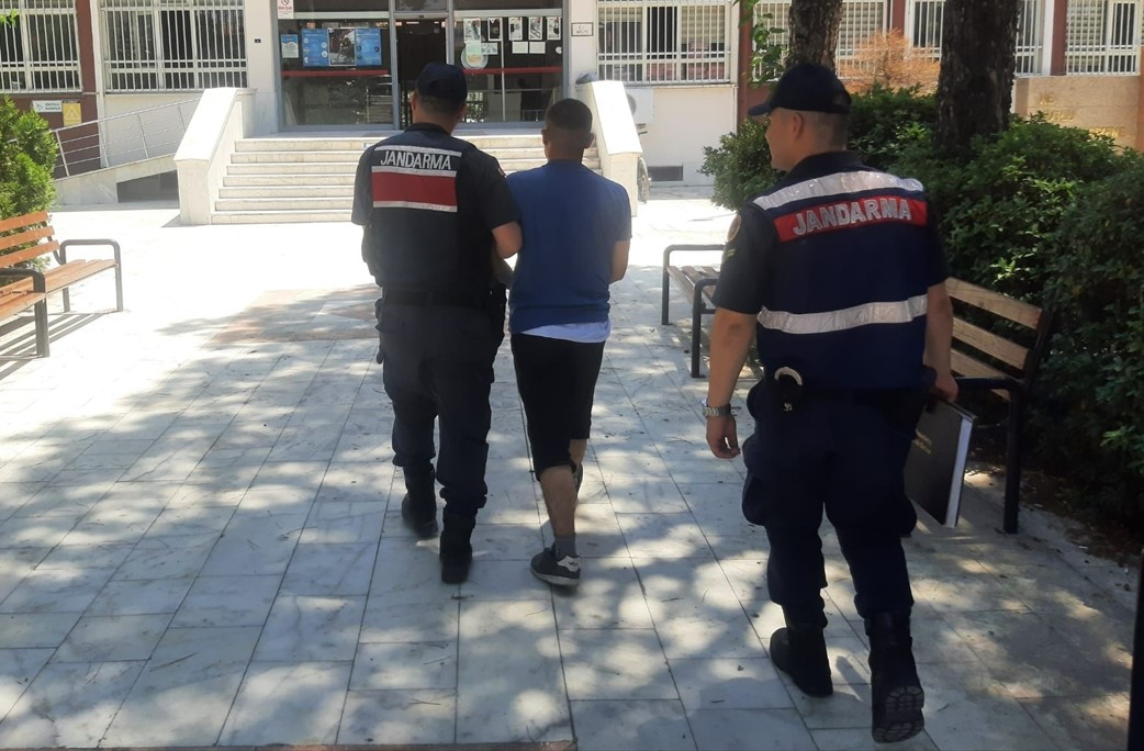 Ormanı Yakmaya Çalıştı