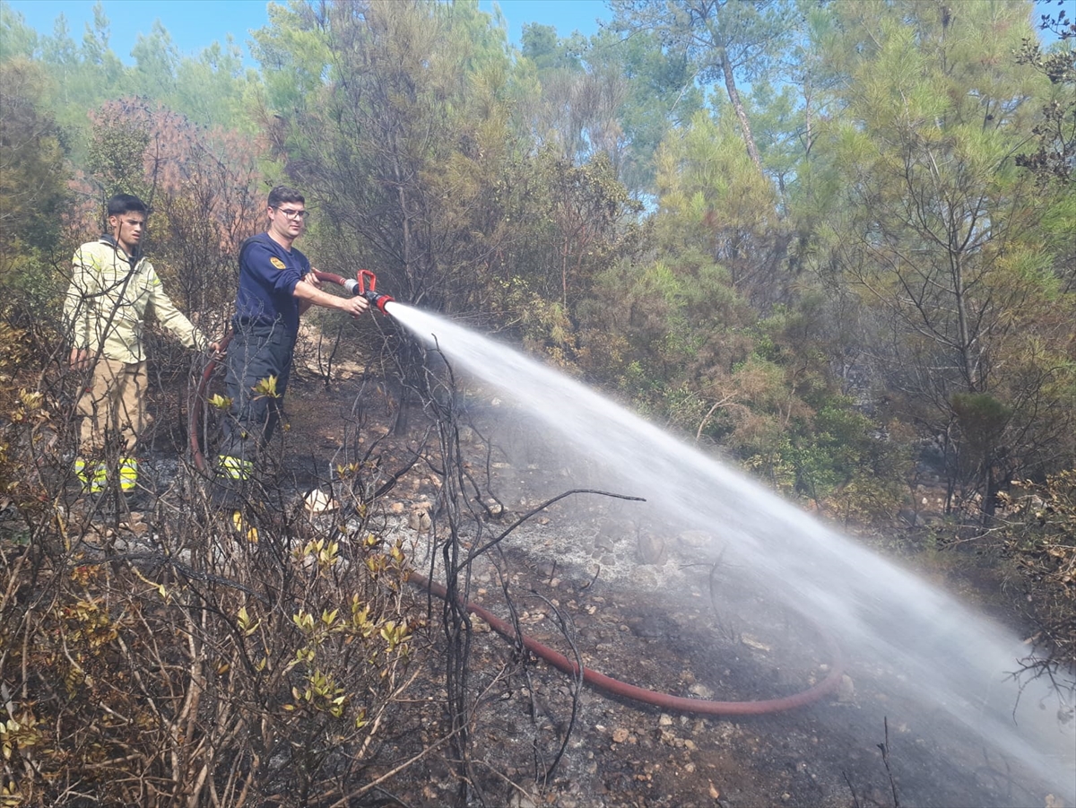 Temizlik Ateşi Ormana Sıçradı