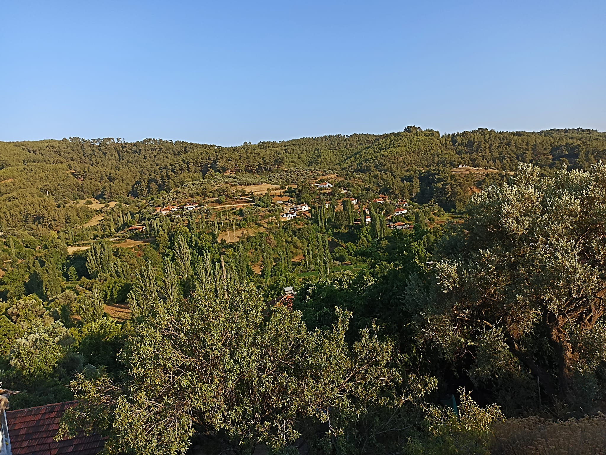Çimento Fabrikası için Olumlu Karar