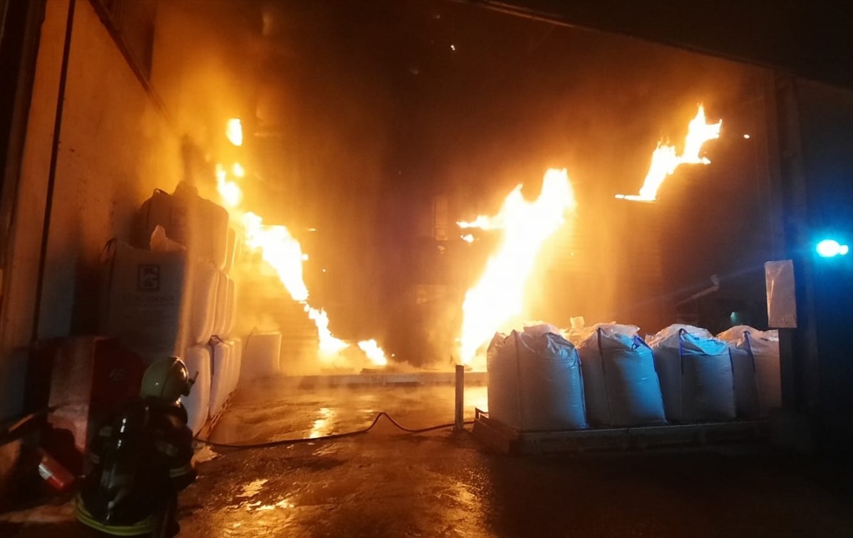 Balık yemi fabrikasında yangın
