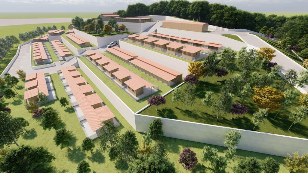 Sokak Hayvanları İçin Büyük Proje
