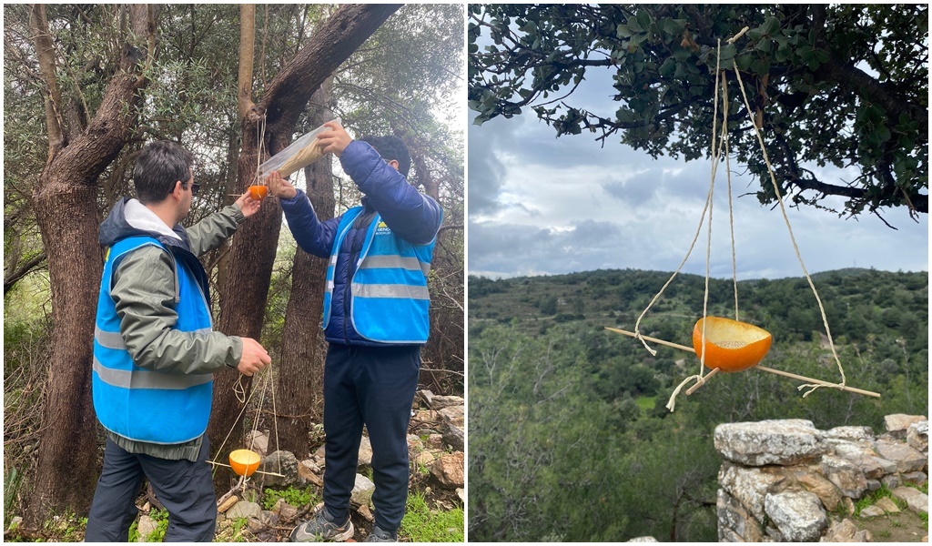 Portakal Kabuğundan Kuş Yemliği Yaptılar