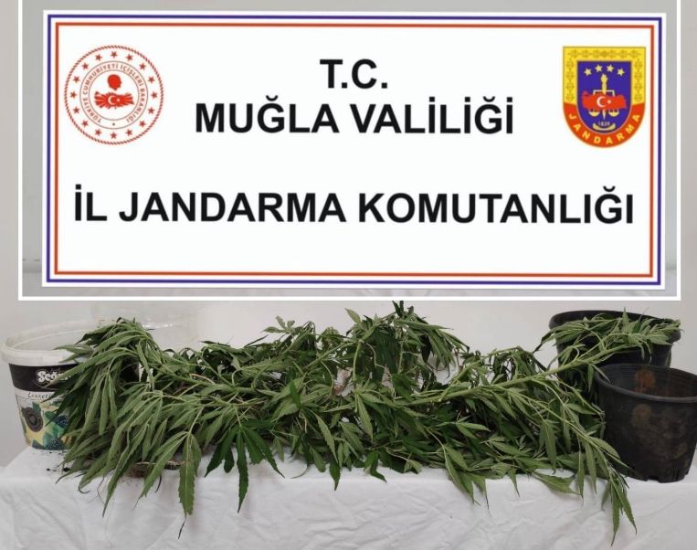 26 Operasyon Düzenlendi