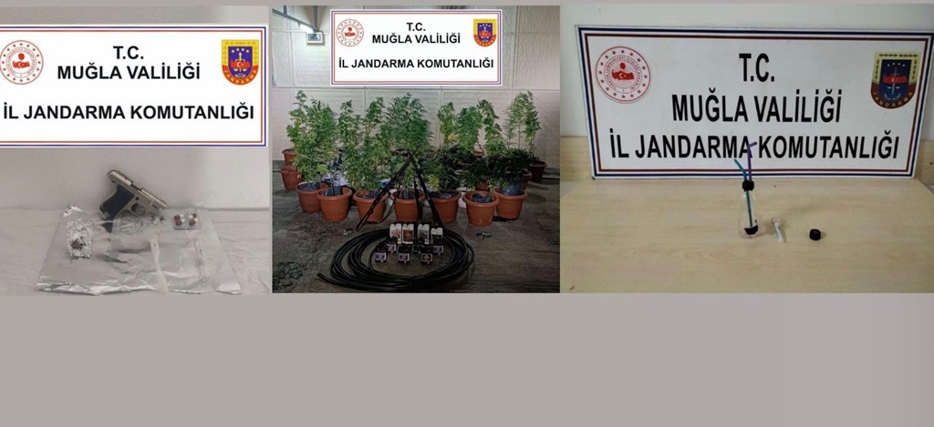 Jandarmadan İl Genelinde Operasyon