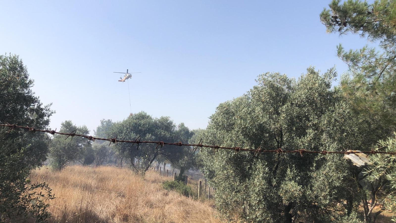 Bodrum'da 2 Farklı Noktada Yangın