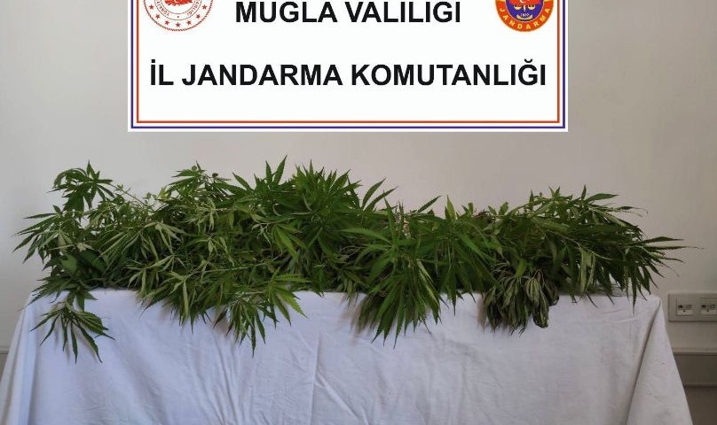 Muğla'da Uyuşturucu Baskınları