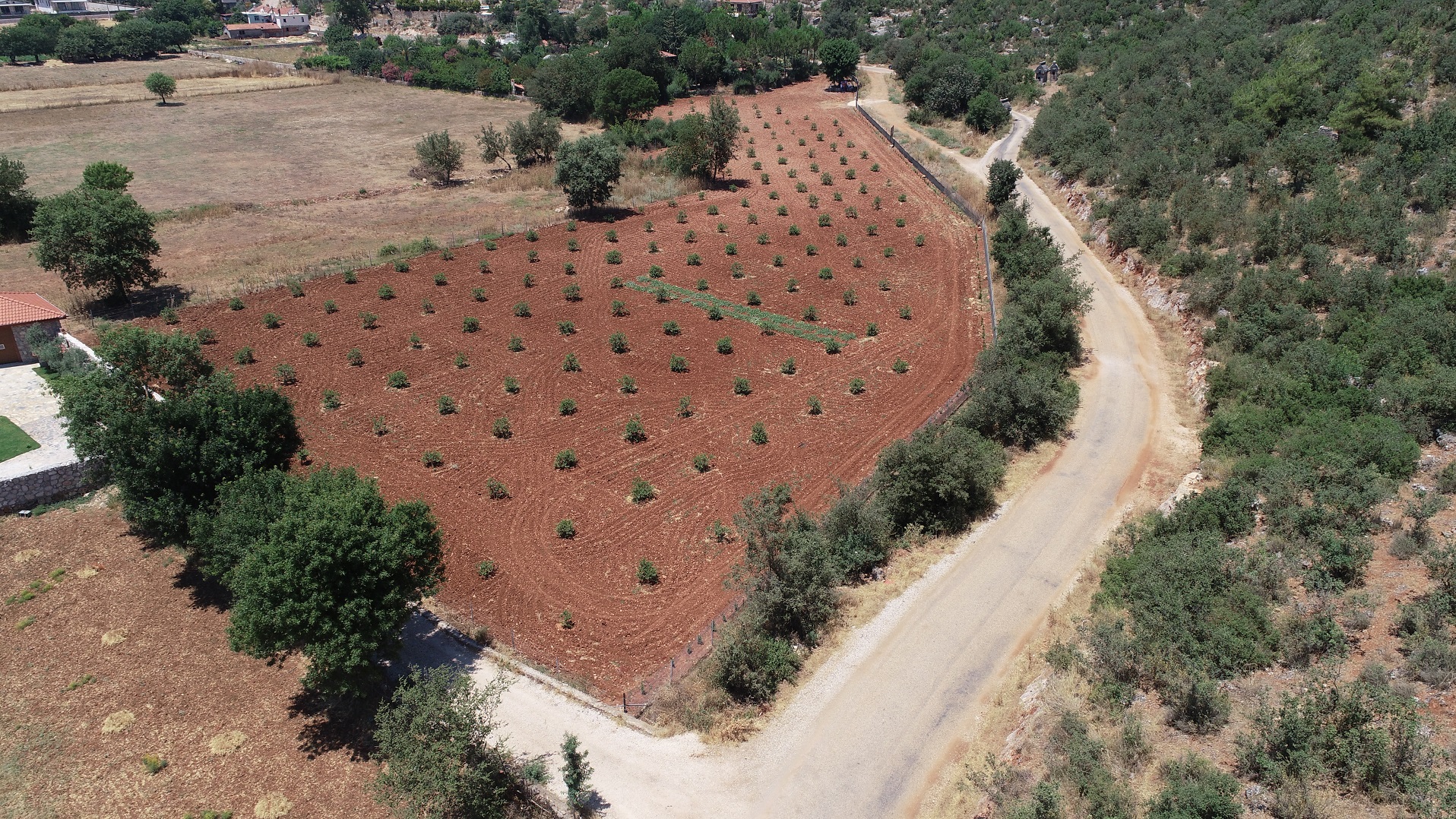 228 Bin 400 Ağaç Toprakla Buluştu