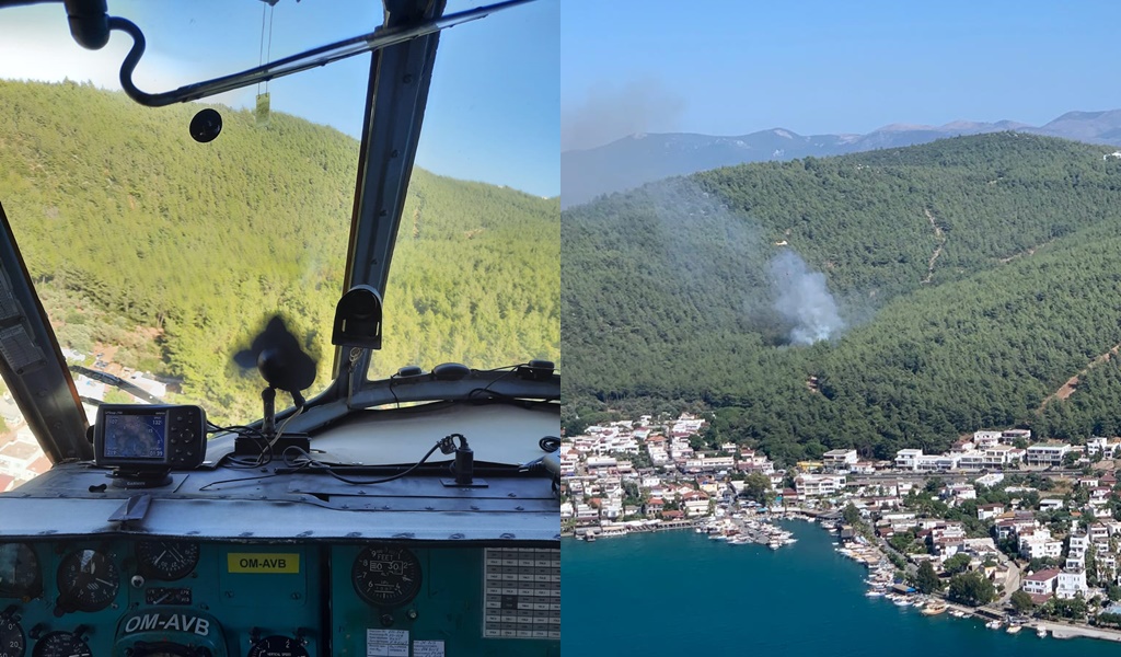 Bodrum'da Orman Yangını Başladı
