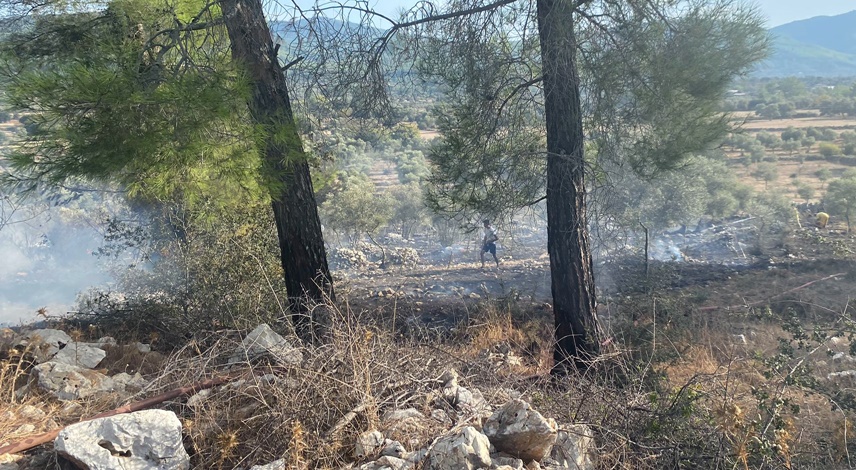 Bodrum'da Çıkan Yangın Büyümeden Söndürüldü