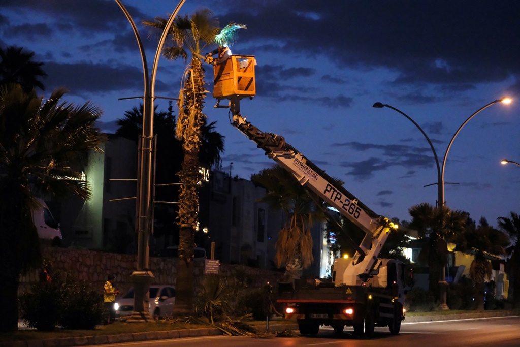Belediyeden Ağaç Budama Çalışması