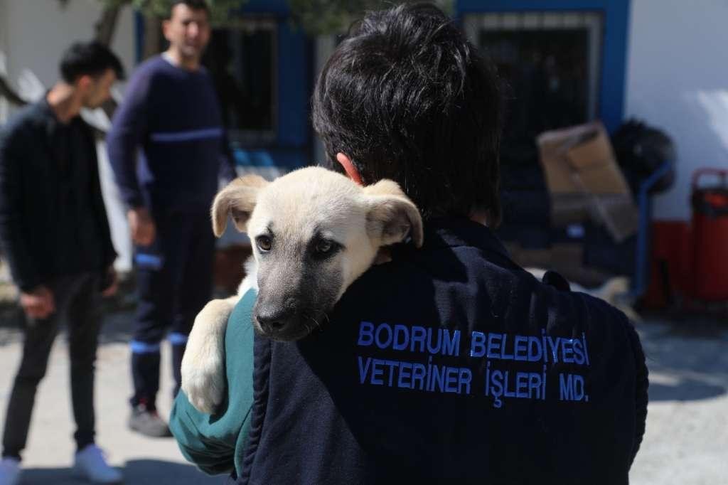Haksız Gösteriye Belediyeden Anında Tepki