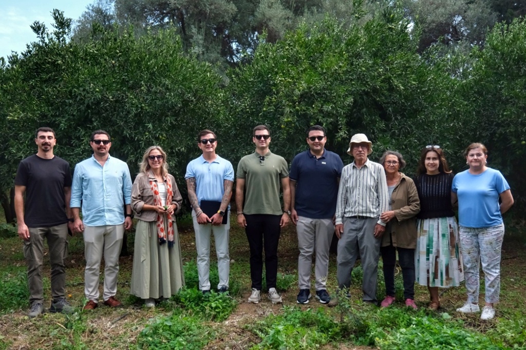 72 Üreticiden 55 Ton Yeşil Bodrum Mandalini Alındı