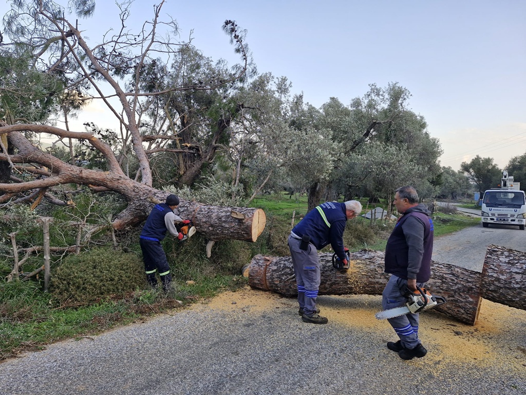 Fırtına Bodrum'da Etkili Oluyor